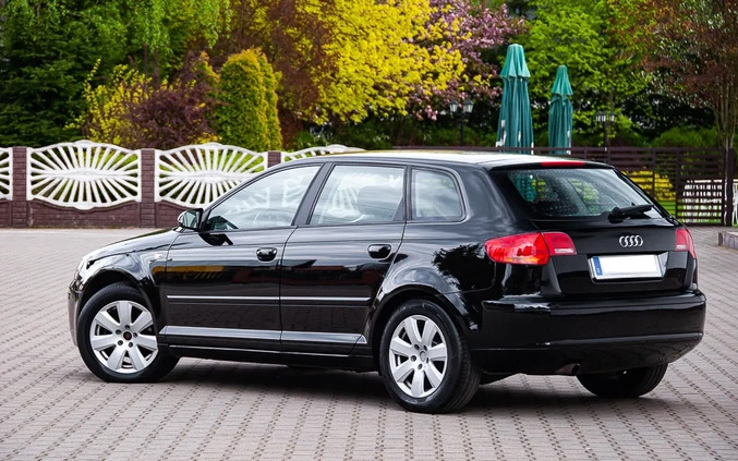 Audi A3 cena 21900 przebieg: 230000, rok produkcji 2007 z Goniądz małe 562